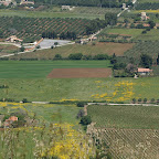 PICT0811.JPG