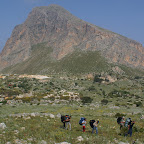 PICT0987.JPG