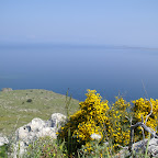 PICT1011.JPG