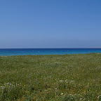 PICT1119.JPG