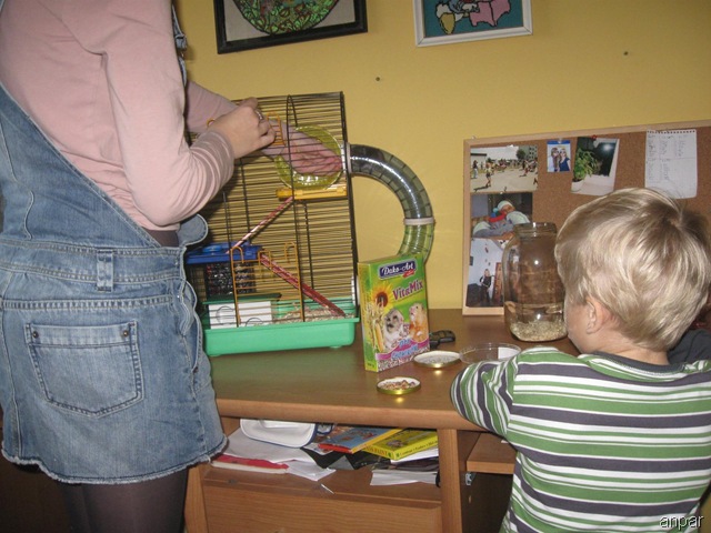 [Obraz2005.jpg]