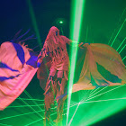 2007-12-19-01.jpg