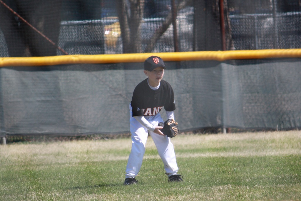 [outfield2[4].jpg]