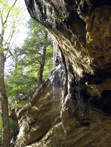 [Anglin falls3663[5].jpg]