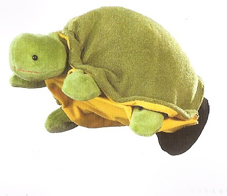 [PU.AN40257turtle2.jpg]