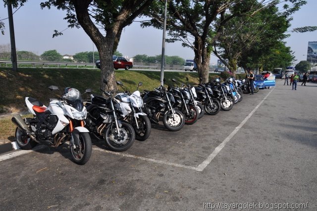 [FERNOPD199[6].jpg]