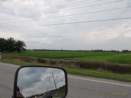 [IMG_81782.jpg]