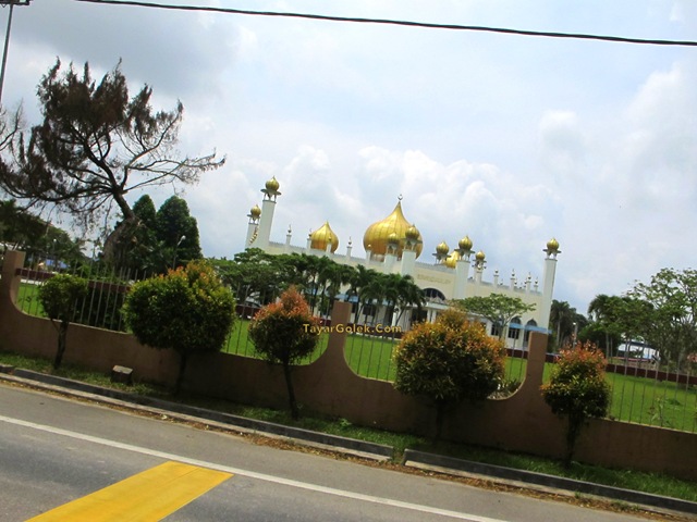 [IMG_97363.jpg]