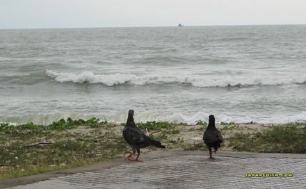 [IMG_07083.jpg]