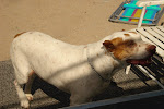 Buster!!!!
