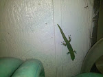 2010-03-05 18.15.38.jpg