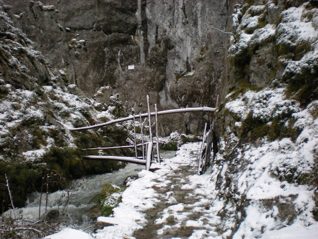 DSCN1690.JPG