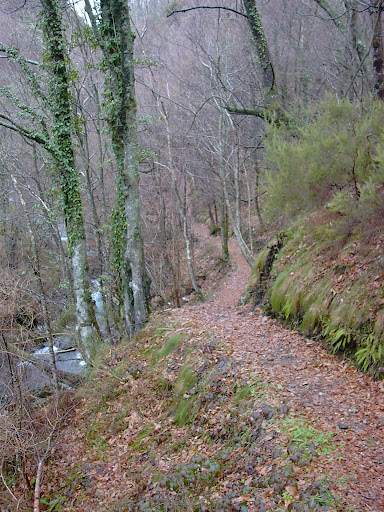 KIF_4503.JPG