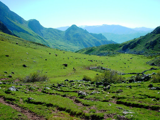 KIF_0180.JPG