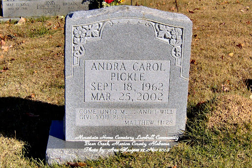 pickle