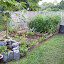 Africanaussie's Vegetable  garden