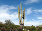 Arizona