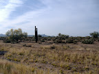 Arizona Desert