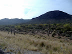 Desert
