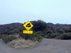Downhill!