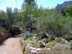 Cactus Farm