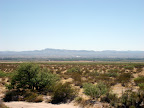 Texas Desert