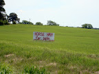 Horse Hay For Sale