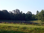 Scenery