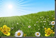 Spring - fotolia_3211573 Spring - fotolia_3211573