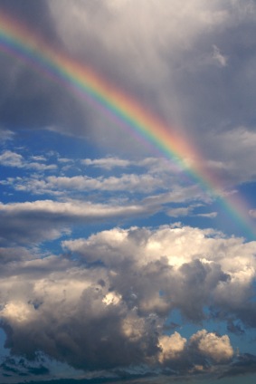 [RainbowiStock_000006008588XSmall3.jpg]