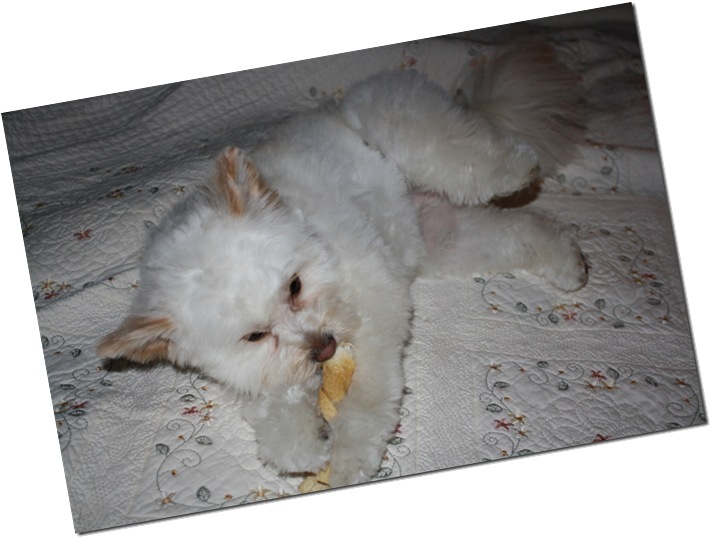 IMG_3624 IMG_3624