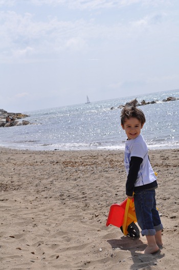 DSC_0061 DSC_0061