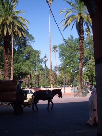 [SDC132703.jpg]