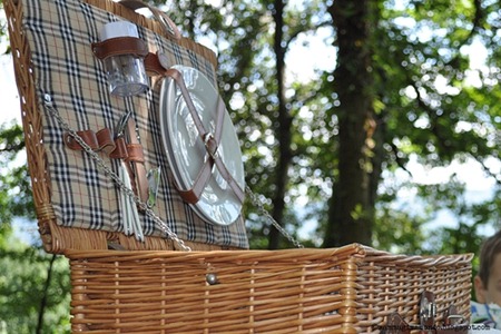 PicnicDSC_0798 PicnicDSC_0798