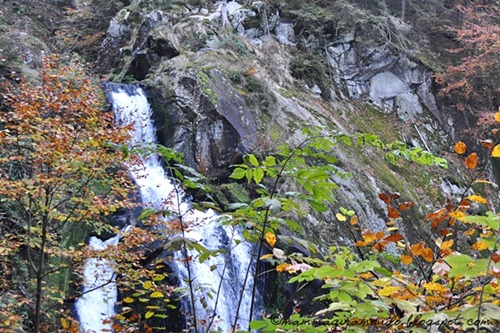 Cascate DSC_0486 Cascate DSC_0486