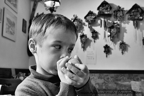 cucùDSC_0471 cucùDSC_0471
