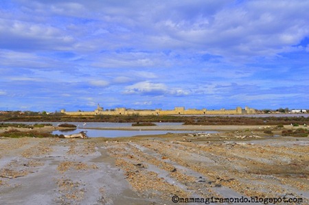 camargueDSC_0086