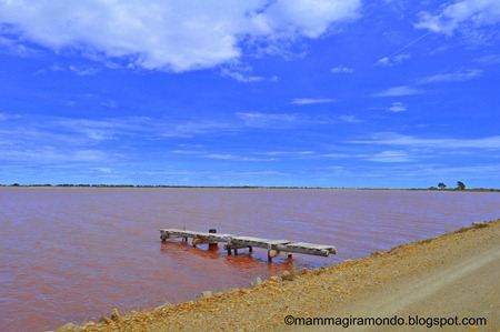 camargueDSC_0123