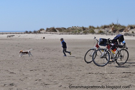 camargueDSC_0390