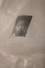lei yan's works(detail)