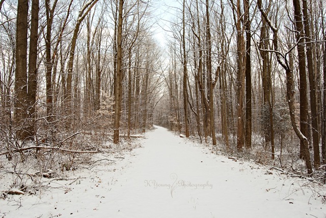 [DSC_0230 copy 2[4].jpg]