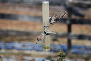 DSC_0374 small