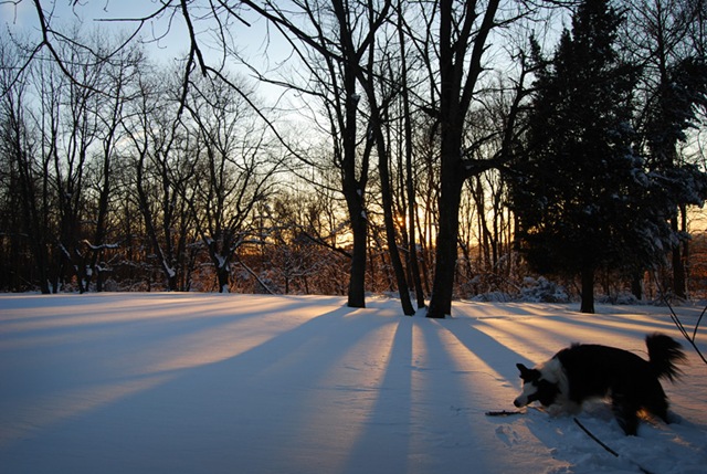 [DSC_0517 copy 2[4].jpg]