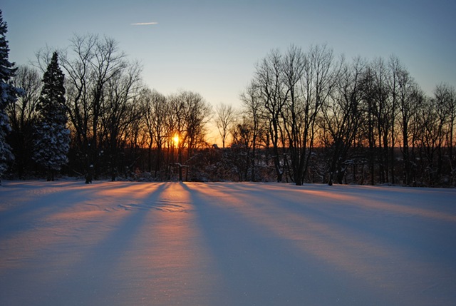 [DSC_0495 copy 2[4].jpg]
