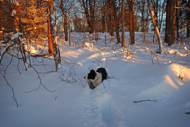 [DSC_0504 copy 2[4].jpg]