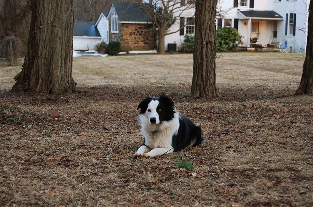 [DSC_0365 copy 2[4].jpg]