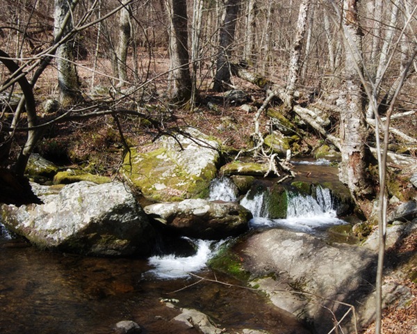 [DSC_0276 copy 2[5].jpg]