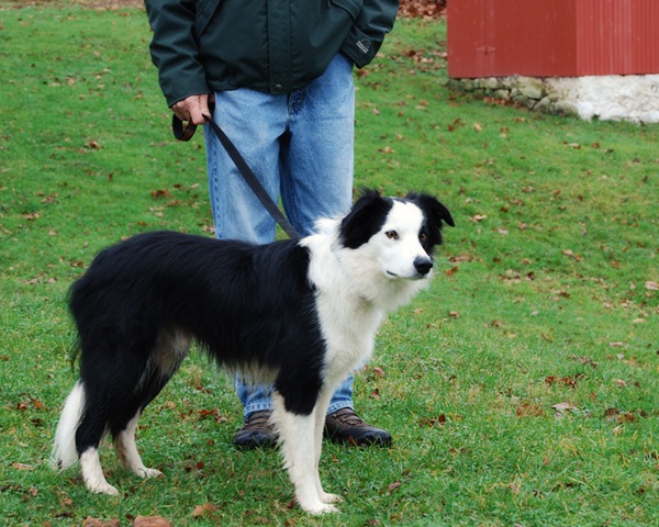 [DSC_0977 copy 2[5].jpg]