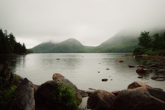 [DSC_0145 copy 2[8].jpg]