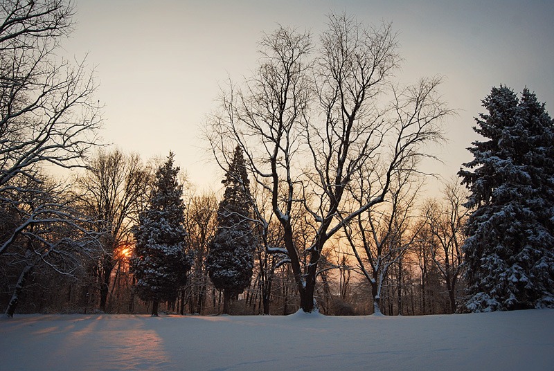 [DSC_1042 copy 2[9].jpg]